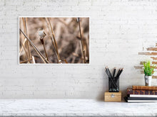 Load image into Gallery viewer, 5181771-1180968