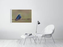 Load image into Gallery viewer, 5181750-1180984