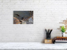 Load image into Gallery viewer, 5181818-1186848