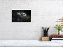 Load image into Gallery viewer, 5181756-1181018