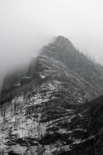 Load image into Gallery viewer, MISTY