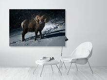 Load image into Gallery viewer, 5181800-1180761