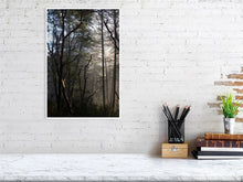 Load image into Gallery viewer, 5181705-1180710