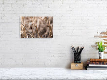 Load image into Gallery viewer, 5181771-1186865