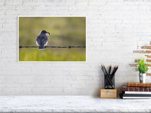 Load image into Gallery viewer, 5181748-1181010
