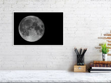 Load image into Gallery viewer, 5181732-1180646