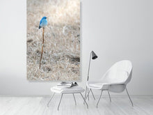 Load image into Gallery viewer, 5181763-1181025