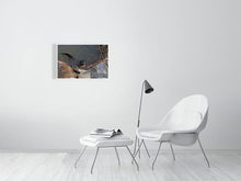 Load image into Gallery viewer, 5181818-1180767