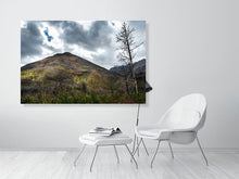 Load image into Gallery viewer, 5181825-1186854