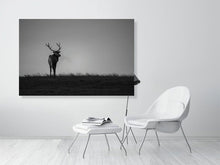 Load image into Gallery viewer, 5181808-1180793