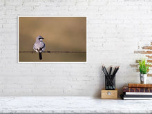 Load image into Gallery viewer, 5181740-1180998