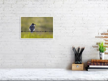 Load image into Gallery viewer, 5181748-1186877