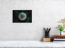 Load image into Gallery viewer, 5181655-1186896