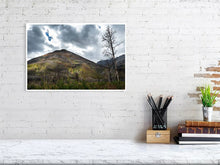 Load image into Gallery viewer, 5181825-1186851