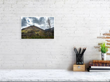 Load image into Gallery viewer, 5181825-1186850
