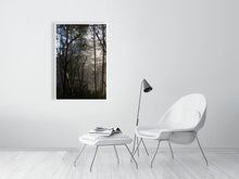 Load image into Gallery viewer, 5181705-1180712