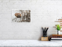 Load image into Gallery viewer, 5181822-1186849