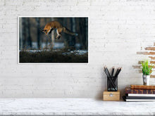 Load image into Gallery viewer, 5181793-1180778