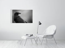 Load image into Gallery viewer, 5181758-1180996