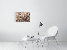 Load image into Gallery viewer, 5181771-1180969