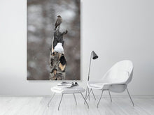 Load image into Gallery viewer, 5181767-1180981