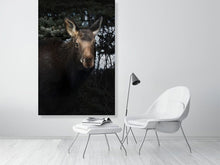 Load image into Gallery viewer, 5181802-1180813