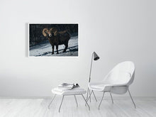 Load image into Gallery viewer, 5181796-1180756