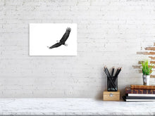 Load image into Gallery viewer, 5181742-1186880