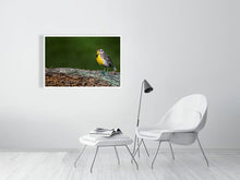 Load image into Gallery viewer, 5181746-1181008