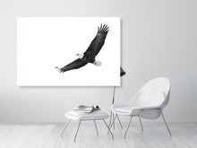 Load image into Gallery viewer, 5181742-1181005