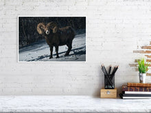 Load image into Gallery viewer, 5181796-1180754