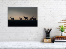 Load image into Gallery viewer, 5181804-1180782