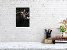 Load image into Gallery viewer, 5181802-1186840