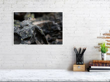 Load image into Gallery viewer, 5181811-1180794