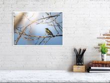 Load image into Gallery viewer, 5181769-1180964