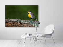 Load image into Gallery viewer, 5181746-1181009