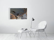 Load image into Gallery viewer, 5181818-1180768