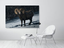 Load image into Gallery viewer, 5181796-1180757