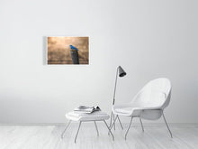 Load image into Gallery viewer, 5181752-1180961