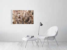 Load image into Gallery viewer, 5181771-1180970