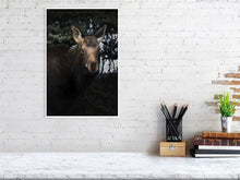 Load image into Gallery viewer, 5181802-1180810