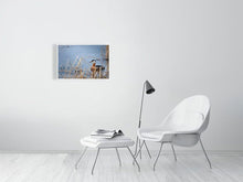 Load image into Gallery viewer, 5181773-1180973