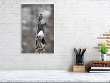 Load image into Gallery viewer, 5181767-1180978