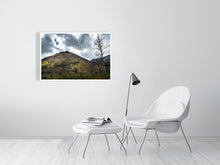 Load image into Gallery viewer, 5181825-1186853