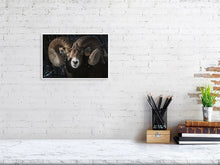 Load image into Gallery viewer, 5181798-1186855