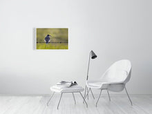 Load image into Gallery viewer, 5181748-1181011