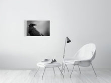 Load image into Gallery viewer, 5181758-1180995