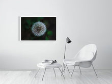 Load image into Gallery viewer, 5181655-1180724