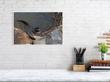 Load image into Gallery viewer, 5181818-1180766
