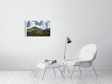 Load image into Gallery viewer, 5181825-1186852

